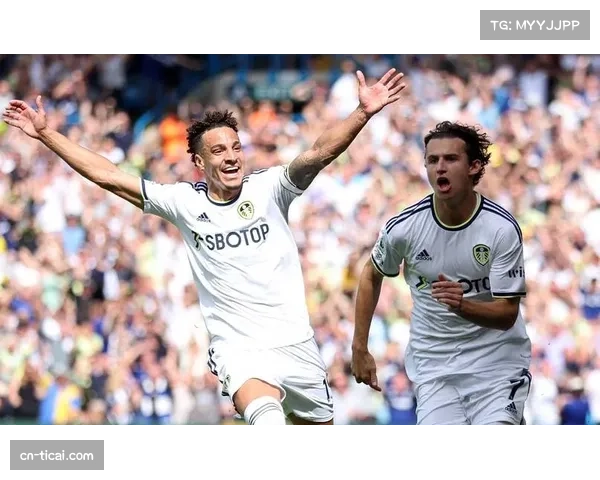 分析：数据揭示，本赛季英超中下游球队主场拿分率创十年新高